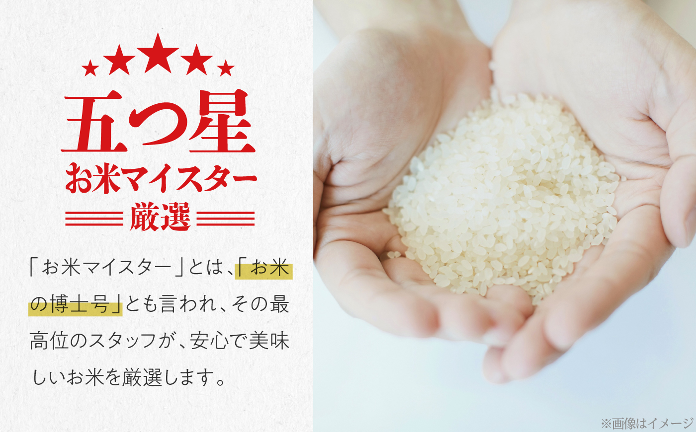 広島県三次産こしひかり 10kg 三次市 / 食協株式会社 [APDK005]