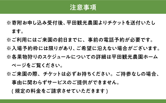 季節の果物狩り 体験チケット（2名様分） フルーツ狩り 親子 子連れ ファミリー 食べ比べ 三次市/平田観光農園 [APAA001]