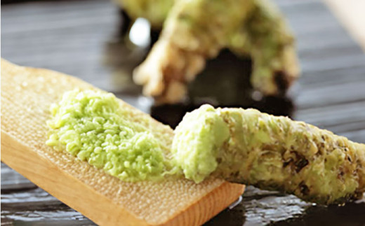 君田のわさび漬け 三次市/みどりグループ [APAG001]