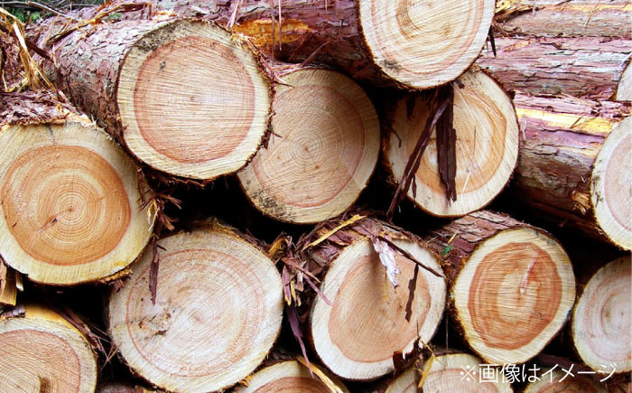 広島県産ヒノキのまな板セット  知育 おもちゃ 玩具 木製  三次市/ 一場木工所 [APAL009]