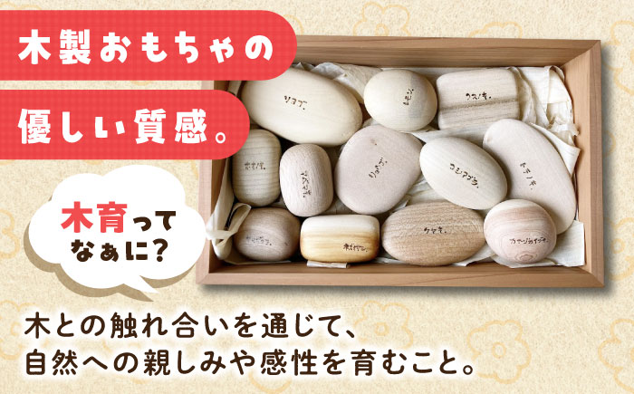 森のこころん12樹種セット  知育 おもちゃ 玩具 木製  三次市/ 一場木工所 [APAL015]