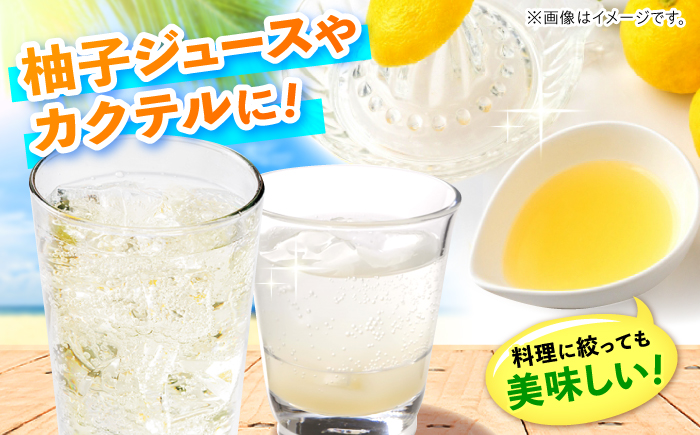 【訳あり】【先行予約】【11月中旬から12月中旬に順次発送】 種なし柚子 約1.7kg（約20個から40個）ゆず 種無し ユズ 訳あり 家庭用 柚子 種なし 三次市/小さなくだもの畑 [APAQ003]