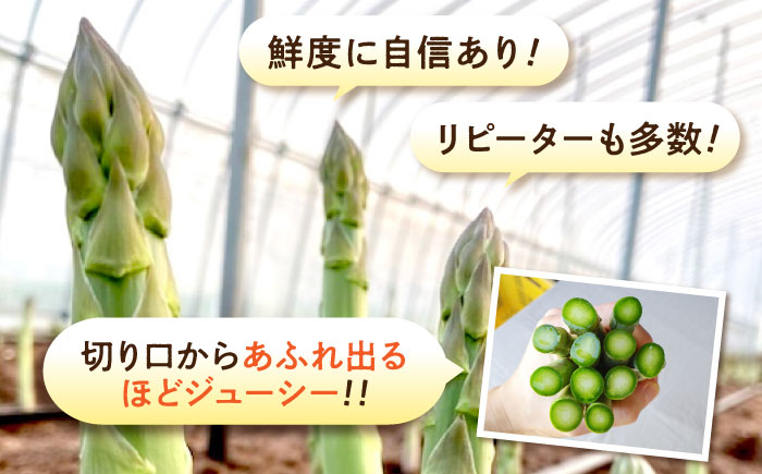 三次の恵みをおふくわけ 朝採れ 春芽アスパラガス（約1kg）とれたて アスパラ 旬 野菜 三次市/福分アスパラ [APAU001]