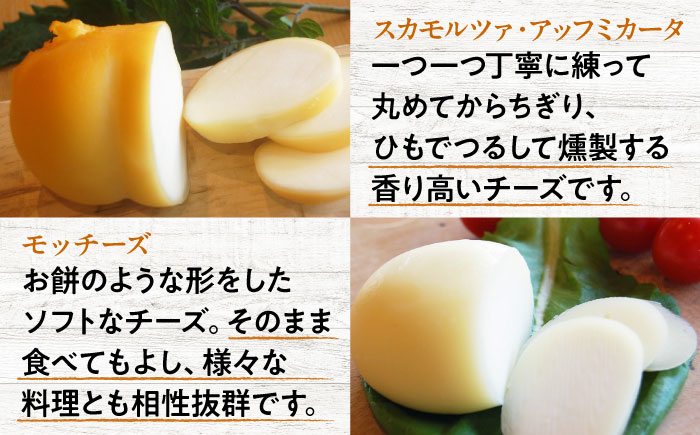 三良坂フロマージュセット ヨーグルト 牛乳 乳製品 発酵食品 脂肪 脂肪 プレーン 国産 スイーツ デザート セット 食べ比べ 手作り ドリンク アイス お取り寄せせ ギフト 贈答 プレゼント 三次市/三良坂フロマージュ [APAV004]