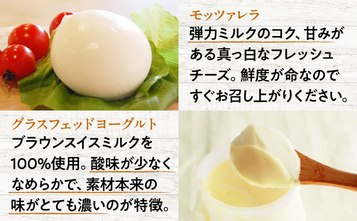 【全6回定期便】三良坂フロマージュ 朝のフレッシュセット 乳製品 チーズ ヨーグルト 牛乳 乳製品 発酵食品 脂肪 脂肪 プレーン 詰め合わせ セット スイーツ デザート 乳製品 受賞 ギフト 贈答 プレゼント 三次市/三良坂フロマージュ [APAV012]