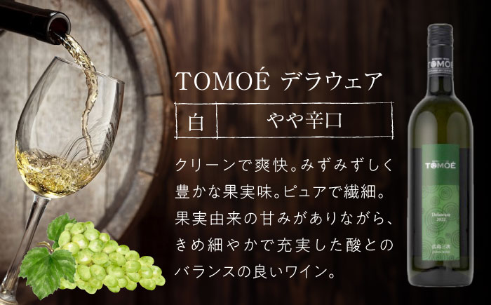 TOMOE 白ワイン 2本セット B シャルドネ リザーブ 辛口 デラウェア ワイン 受賞 飲み比べ ワインセット ギフト 三次市/広島三次ワイナリー [APAZ017]
