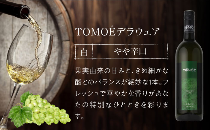 ～TOMOE 厳選3種～おすすめ飲み比べ3種セット おさけ 洋酒 受賞 飲み比べ 国産 ギフト 贈答 プレゼント ぶどう 葡萄 広島県産 三次市/広島三次ワイナリー [APAZ027]