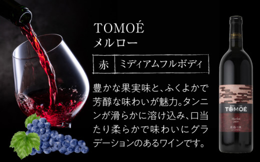広島牛 肩ロース と TOMOE赤ワイン の 贅沢セット ワイン 受賞 飲み比べ ワインセット ギフト 三次市/広島三次ワイナリー [APAZ039]