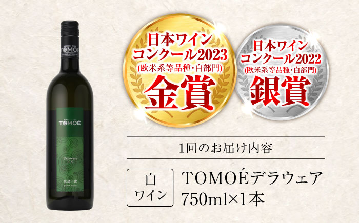 【全12回定期便】TOMOEデラウェア 白ワイン やや辛口 750ml 1本 白 ワイン 受賞 ギフト 醸造 おすすめ 三次市 / 広島三次ワイナリー [APAZ052]