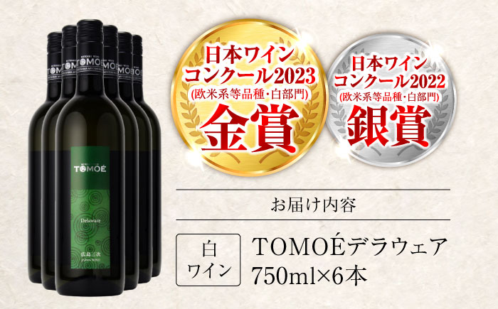 TOMOEデラウェア 白ワイン やや辛口 750ml×6本 ワイン 受賞 ギフト 広島 人気 おうち ディナー ランチ お酒 パーティー わいん 三次市 / 広島三次ワイナリー [APAZ091]