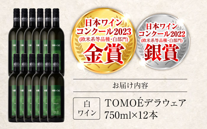 TOMOEデラウェア 白ワイン やや辛口 750ml×12本 ワイン 受賞 ギフト 広島 人気 おうち ディナー ランチ お酒 パーティー わいん 三次市 / 広島三次ワイナリー [APAZ092]