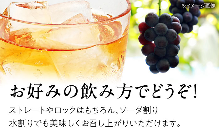 【全6回定期便】 ピオーネの雫 500ml×1本 果実酒 三次ワイナリー ぶどう ピオーネ リキュール 甘口 ギフト 広島 三次 酒 三次市 / 広島三次ワイナリー [APAZ121]