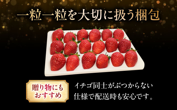 【先行予約】【12月下旬から順次発送】水素水で育ったいちご「安芸こまち」小粒セット（約340g）（15粒～18粒入） 低農薬 苺 イチゴ 高級 フルーツ 果物 ベリー ギフト 贈答 三次市/田中電機工業 [APBI001]