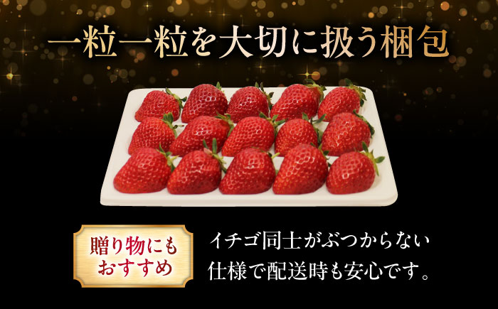 【先行予約】いちご 一段箱 ＜2026年1月以降順次発送＞水素水で育ったいちご「安芸こまち」1段箱入り（約400g）（12粒～18粒入） 低農薬 苺 イチゴ 高級 フルーツ 果物 ベリー ギフト 贈答 三次市/田中電機工業 [APBI002]