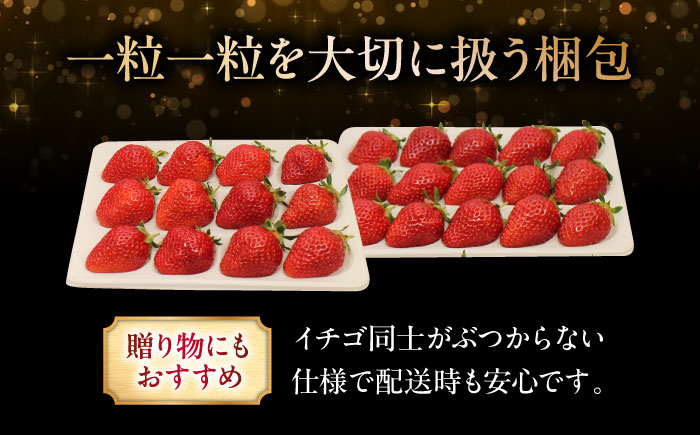 【先行予約】【12月下旬から順次発送】水素水で育ったいちご「安芸こまち」2段箱入り（約850g）（24粒～36粒入） 低農薬 苺 イチゴ 高級 フルーツ 果物 ベリー ギフト 贈答 三次市/田中電機工業 [APBI003]