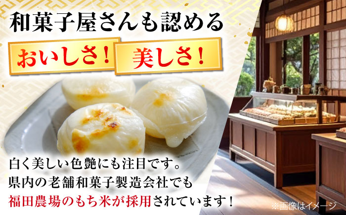 【先行予約】 お餅 ＜12月25日～年内順次発送＞ 杵つき餅 真空パック ひら餅 10個×3 お餅 杵つき 餅 おせち モチ 雑煮 広島 三次市 / 福田農場 [APBM014]