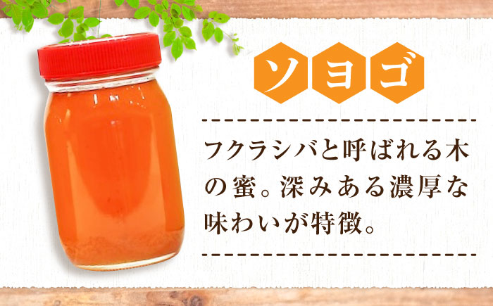 重森養蜂場のはちみつ 大容量2種2本セット（ソヨゴ・みかん） 600g×2種 計2本セット ハニー お取り寄せ グルメ 産地直送 ふるさと納税 ギフト プレゼント スーパーフード パンケーキ ヨーグルト 三次市/ 重森養蜂場 [APBO002]