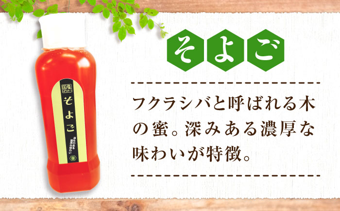 手軽に簡単チューブはちみつ（みかん・そよご）500g×2種 計2本セット  ハニー お取り寄せ グルメ 産地直送 ふるさと納税 ギフト プレゼント スーパーフード パンケーキ ヨーグルト 三次市/重森養蜂場 [APBO006]