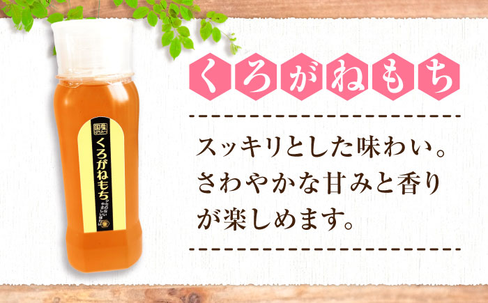 手軽に簡単チューブはちみつ（みかん・くろがねもち）500g×2種 計2本セット  ハニー お取り寄せ グルメ 産地直送 ふるさと納税 ギフト プレゼント スーパーフード パンケーキ ヨーグルト 三次市/重森養蜂場 [APBO007]