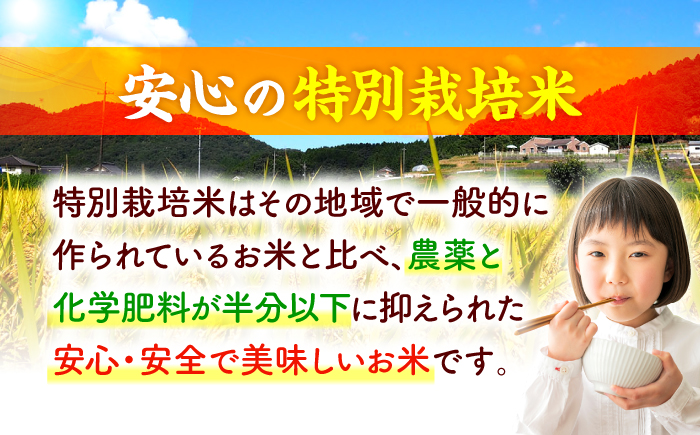 【先行予約】【9月中旬から順次発送】特別栽培米 コシヒカリ 真空パック 白米 （ 無洗米 ） 5kg お米 こしひかり ご飯 コシヒカリ おこめ 三次市/小川モータース [APCH001]