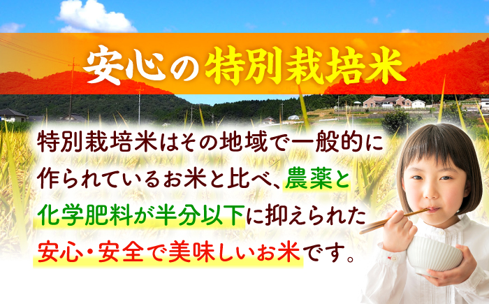 【先行予約】【9月中旬から順次発送】特別栽培米 コシヒカリ 真空パック 玄米 15kg （ 5kg × 3袋 ） お米 こしひかり ご飯 コシヒカリ おこめ 三次市/小川モータース [APCH006]