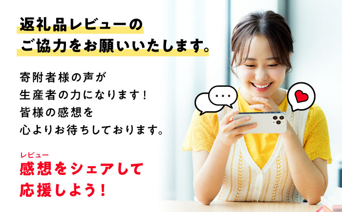 【ゴシックブラウン】 エアコン 室外機 カバー 木製 日除け 断熱 夏用 冬用 三次市 / 佐々部材木店 [APCP004]