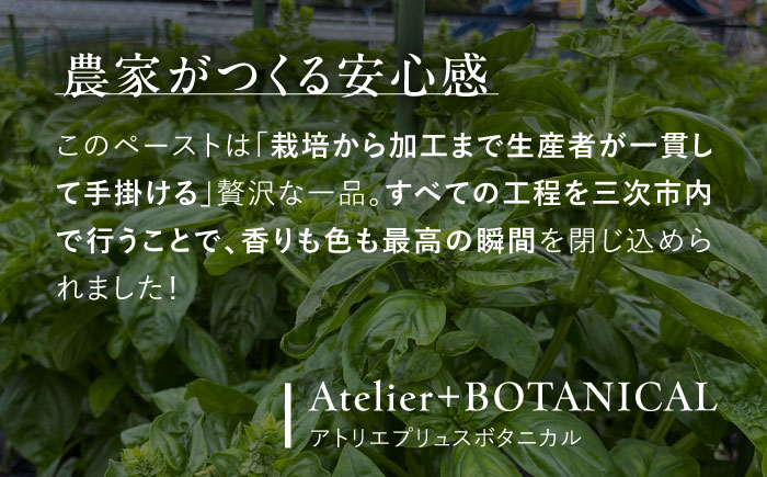 【先行予約】【2026年6月中旬頃から順次発送】 バジルペースト ２個セット ＜数量限定100セット＞ 摘みたて バジル フレッシュ 生ペースト 三次市 / Atelier＋BOTANICAL [APCX001]