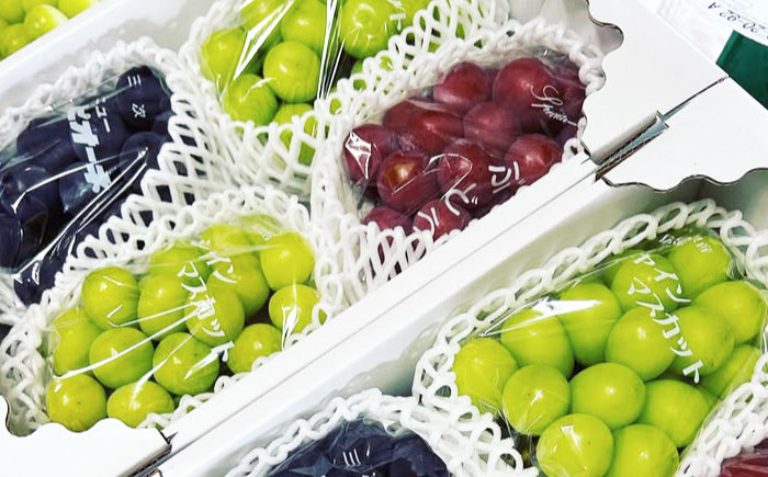 【2026年先行予約】＜8月下旬頃から順次発送＞三次の葡萄 ニューピオーネ 4房（約2kg） 種なし ぶどう ピオーネ ギフト フルーツ 果物 ブドウ 露地栽培 三次市/黒瀬ぶどう園［APAB001］