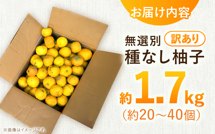 【訳あり】【先行予約】【11月中旬から12月中旬に順次発送】 種なし柚子 約1.7kg（約20個から40個）ゆず 種無し ユズ 訳あり 家庭用 柚子 種なし 三次市/小さなくだもの畑 [APAQ003]