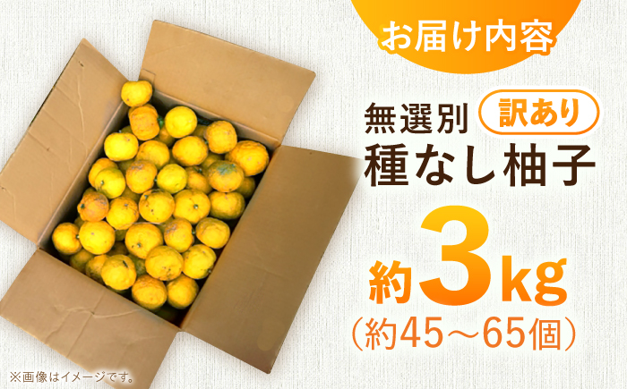 【訳あり】【先行予約】【11月中旬から12月中旬に順次発送】 種なし柚子 約3kg（約45個から65個）ゆず 種無し ユズ 訳あり 家庭用 柚子 種なし 三次市/小さなくだもの畑 [APAQ004]