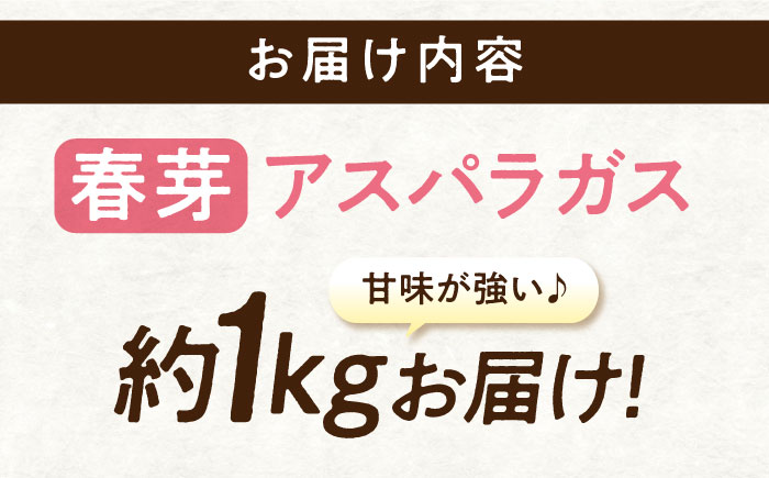 三次の恵みをおふくわけ 朝採れ 春芽アスパラガス（約1kg）とれたて アスパラ 旬 野菜 三次市/福分アスパラ [APAU001]
