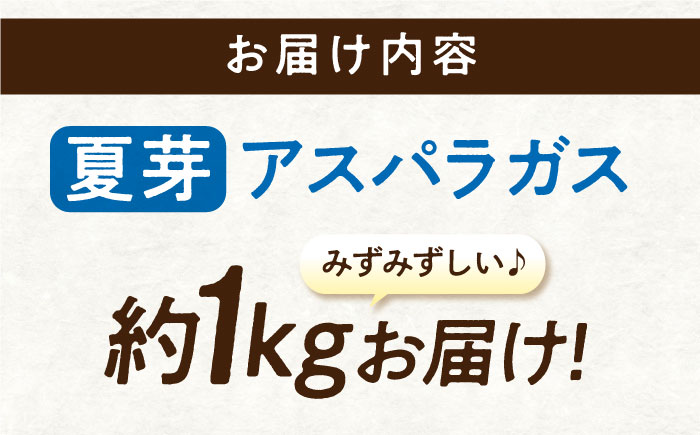 三次の恵みをおふくわけ 朝採れ 夏芽アスパラガス（約1kg）とれたて アスパラ 旬 野菜 三次市/福分アスパラ [APAU002]