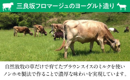 三良坂フロマージュのヨーグルトセット 5個入 牛乳 乳製品 発酵食品 脂肪 脂肪 プレーン 国産 スイーツ デザート セット 食べ比べ 手作り ドリンク アイス お取り寄せせ ギフト 贈答 プレゼント 三次市/三良坂フロマージュ [APAV005]