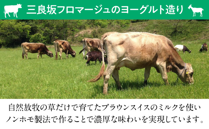 【全6回定期便】三良坂フロマージュのヨーグルトセット 3個入 牛乳 乳製品 発酵食品 脂肪 脂肪 プレーン 国産 スイーツ デザート セット 食べ比べ 手作り ドリンク アイス お取り寄せせ ギフト 贈答 プレゼント 三次市/三良坂フロマージュ [APAV008]