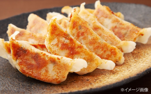 餃子家 龍 霧里 しょうが 餃子 セット 三次市/広島三次ワイナリー [APAZ046]