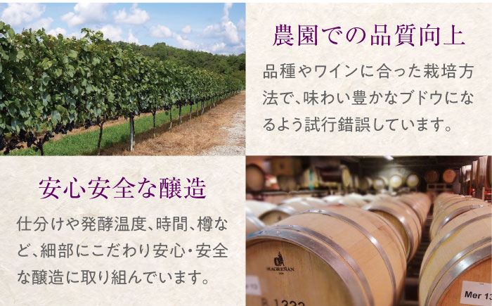 【全6回定期便】緋 ～あけ～ 赤ワイン ライトミディアム 750ml 1本 赤 ワイン ギフト 三次産 ぶどう 葡萄 ブドウ 三次市 / 広島三次ワイナリー [APAZ059]