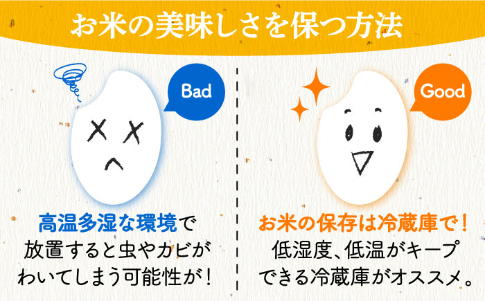 【すぐ届く】令和6年産 米 ミルキーサマー 5kg 白米 お米 ご飯 国産 広島 三次市 / 布野特産センター [APBA030]