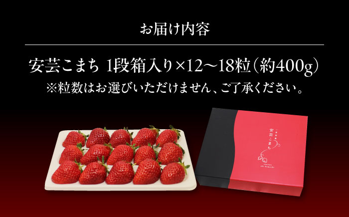 【先行予約】いちご 一段箱 ＜2026年1月以降順次発送＞水素水で育ったいちご「安芸こまち」1段箱入り（約400g）（12粒～18粒入） 低農薬 苺 イチゴ 高級 フルーツ 果物 ベリー ギフト 贈答 三次市/田中電機工業 [APBI002]