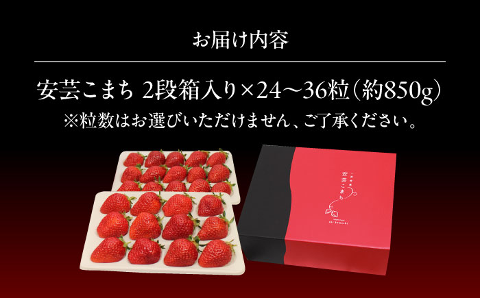 【先行予約】【12月下旬から順次発送】水素水で育ったいちご「安芸こまち」2段箱入り（約850g）（24粒～36粒入） 低農薬 苺 イチゴ 高級 フルーツ 果物 ベリー ギフト 贈答 三次市/田中電機工業 [APBI003]