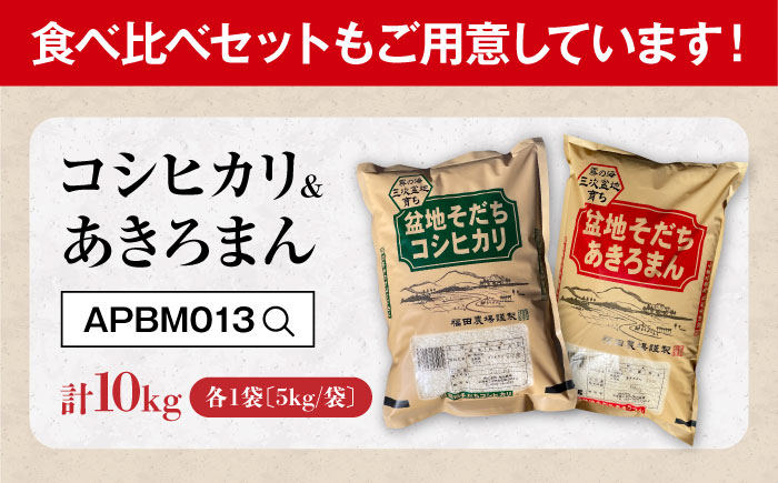 【全3回定期便】 米 盆地そだちこしひかり 5kg 令和7年産 米 こめ 白米 精米 ご飯 三次市 / 福田農場 [APBM029]