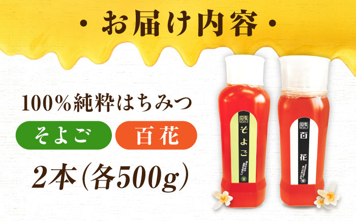 手軽に簡単チューブはちみつ（百花・そよご）500g×2種 計2本セット  ハニー お取り寄せ グルメ 産地直送 ふるさと納税 ギフト プレゼント スーパーフード パンケーキ ヨーグルト 三次市/重森養蜂場 [APBO004]