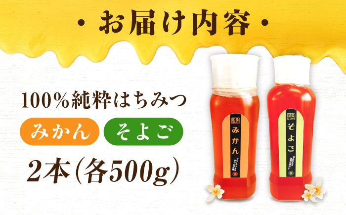 手軽に簡単チューブはちみつ（みかん・そよご）500g×2種 計2本セット  ハニー お取り寄せ グルメ 産地直送 ふるさと納税 ギフト プレゼント スーパーフード パンケーキ ヨーグルト 三次市/重森養蜂場 [APBO006]