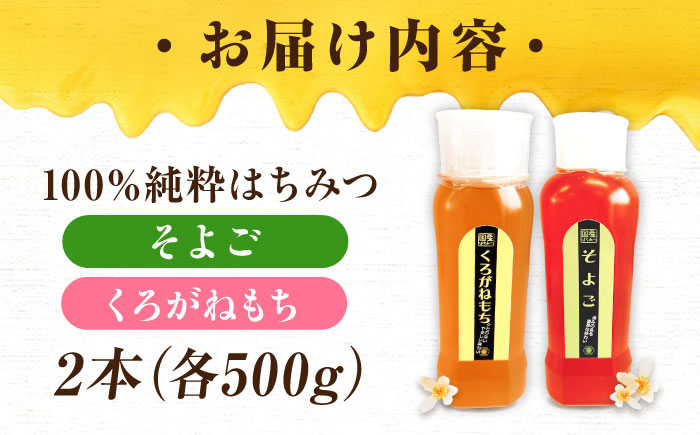手軽に簡単チューブはちみつ（そよご・くろがねもち）500g×2種 計2本セット  ハニー お取り寄せ グルメ 産地直送 ふるさと納税 ギフト プレゼント スーパーフード パンケーキ ヨーグルト 三次市/重森養蜂場 [APBO008]