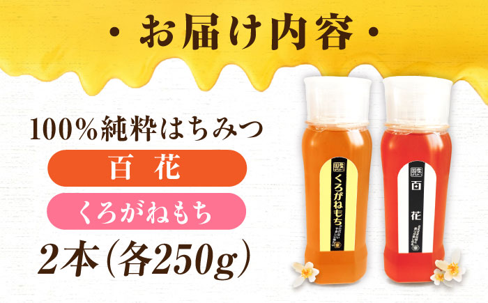 手軽に簡単チューブはちみつ（百花・くろがねもち）250g×2種 計2本セット  ハニー お取り寄せ グルメ 産地直送 ふるさと納税 ギフト プレゼント スーパーフード パンケーキ ヨーグルト 三次市/重森養蜂場 [APBO011]