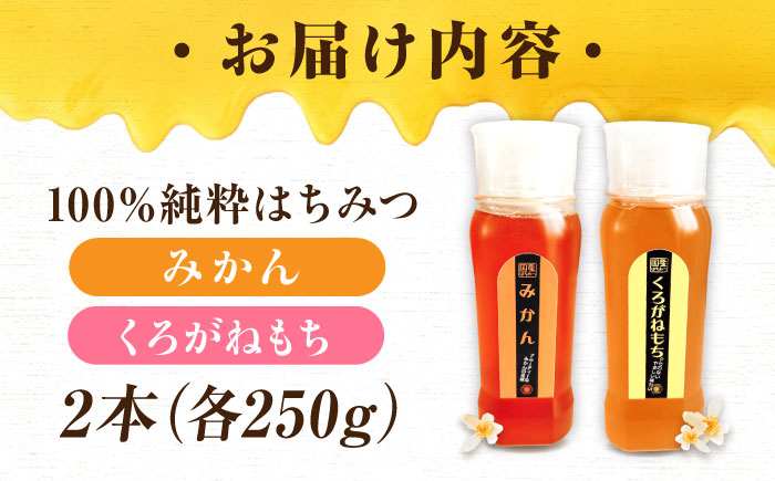 手軽に簡単チューブはちみつ（みかん・くろがねもち）250g×2種 計2本セット  ハニー お取り寄せ グルメ 産地直送 ふるさと納税 ギフト プレゼント スーパーフード パンケーキ ヨーグルト 三次市/重森養蜂場 [APBO013]