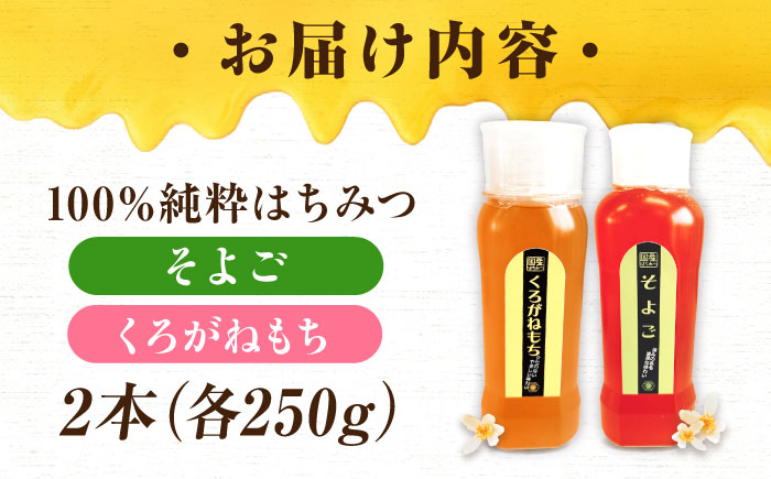 手軽に簡単チューブはちみつ（そよご・くろがねもち）250g×2種 計2本セット  ハニー お取り寄せ グルメ 産地直送 ふるさと納税 ギフト プレゼント スーパーフード パンケーキ ヨーグルト 三次市/重森養蜂場 [APBO014]