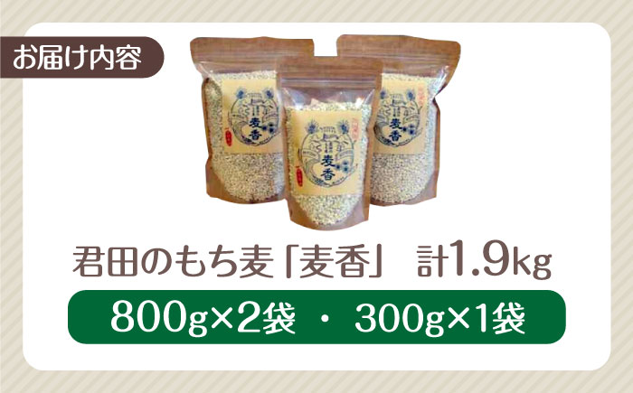 もち麦 ｢麦香｣ 1.9kg もち麦 国産 小分け ダイエット 腸活 広島県三次産 三次市/安田農産 [APBP001]