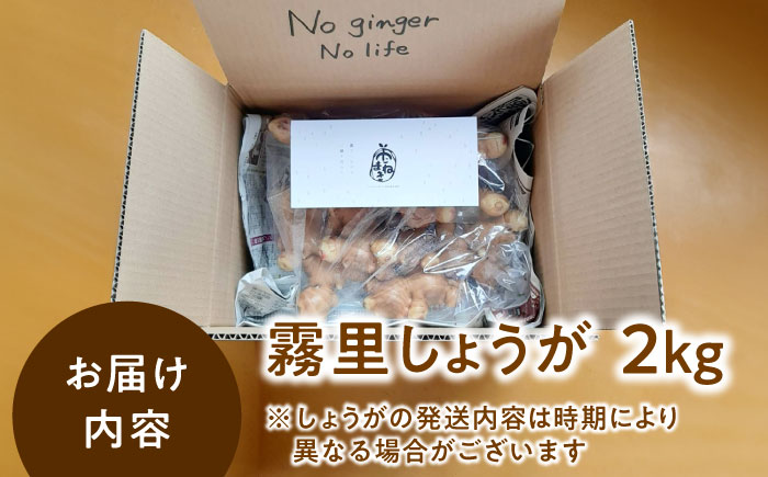 霧里（きりり）しょうが 三次市/農縁たねまき [APBX001]