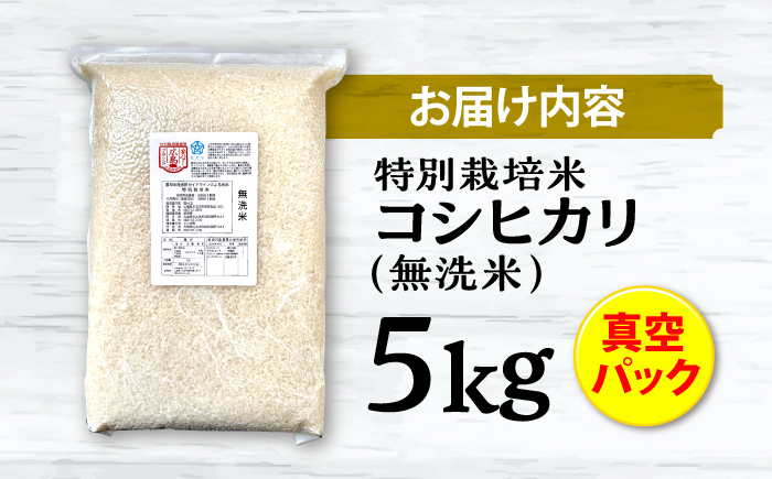 【先行予約】【9月中旬から順次発送】特別栽培米 コシヒカリ 真空パック 白米 （ 無洗米 ） 5kg お米 こしひかり ご飯 コシヒカリ おこめ 三次市/小川モータース [APCH001]