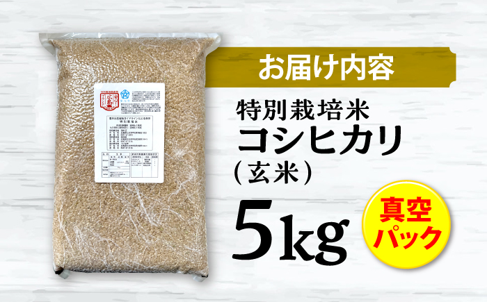 【先行予約】【9月中旬から順次発送】特別栽培米 コシヒカリ 真空パック 玄米 5kg お米 こしひかり ご飯 コシヒカリ おこめ 三次市/小川モータース [APCH002]